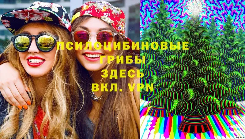 МЕГА маркетплейс  Лиски  Псилоцибиновые грибы Psilocybine cubensis 